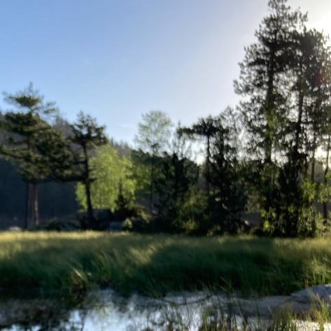 Paysage montagne et lac